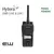 Hytera PD565 (VHF & UHF) DMR terminal