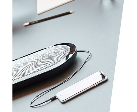 Jabra Speak 810