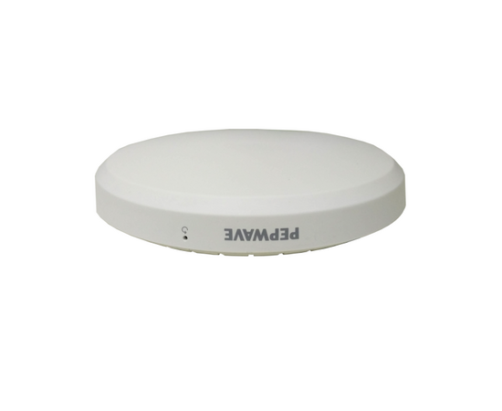 Peplink MAX Hotspot (LTE, WiFi )