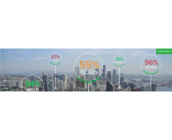 Sensoneo Double Sensor (WMS)