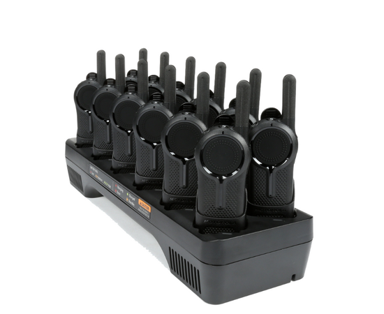 12 Pack Motorola CLR446 Lisensfri Radio (446MHz)