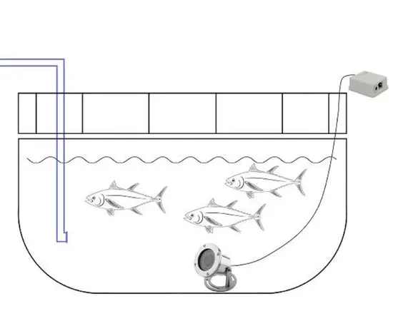 Subsea Permanent Monitor Videocamera