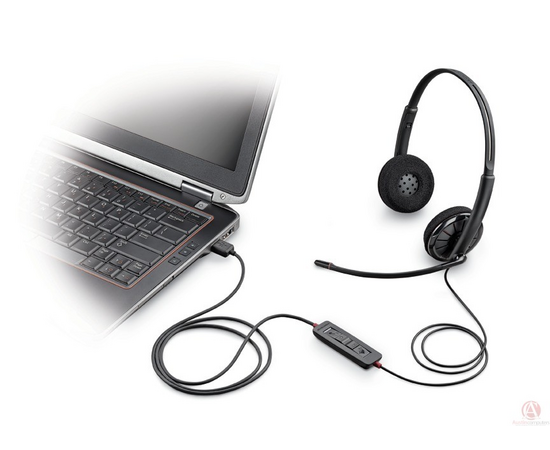 Plantroncis Blackwire C310 UC & Lync